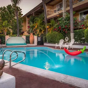 Hotel Pepper Tree Boutique Kitchen -